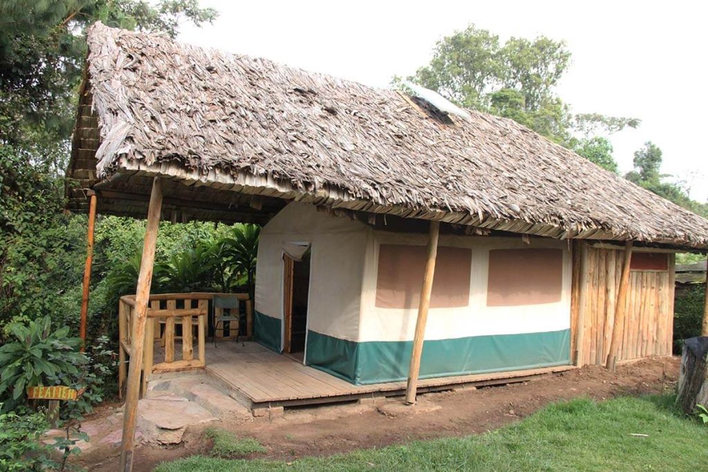 Broadbill Forest Lodge