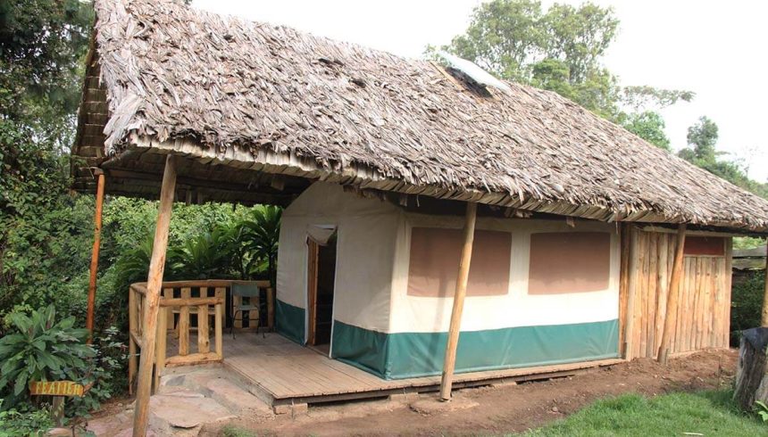 Broadbill Forest Lodge , Alojamiento en el Parque Nacional del Bosque de Bwindi Uganda