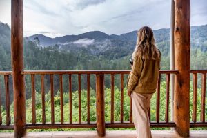 Vista del bosque de Bwindi desde el Gorilla Leisure Lodge.