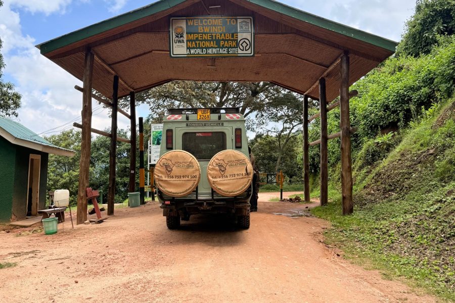 Cómo llegar al Parque Nacional del Bosque de Bwindi por carretera.