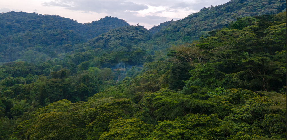 Es Bwindi un lugar seguro para los turistas