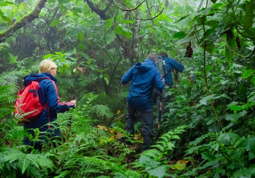 Paseos por la naturaleza