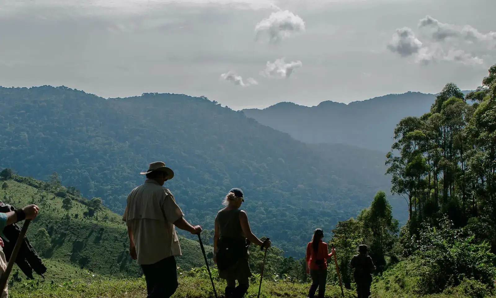 Sector de Nkuringo del Bosque Impenetrable de Bwindi