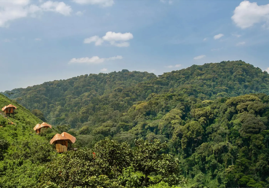 Sector de Ruhija, en Bwindi