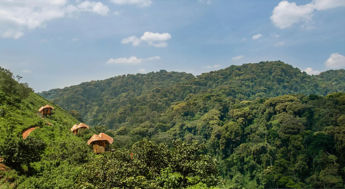 Sector de Ruhija, en Bwindi